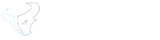 Logo Taurus_Finance